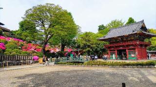 根津神社の参拝記録(オトギリルさん)