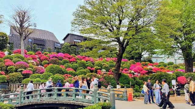 根津神社の参拝記録3