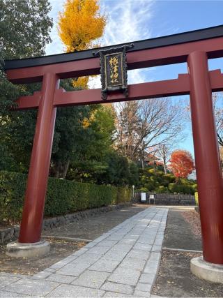 根津神社の参拝記録(⛩️🐍🐢まめ🐢🐍⛩️さん)