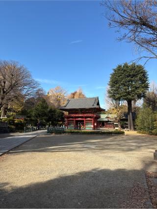 根津神社の参拝記録(⛩️🐍🐢まめ🐢🐍⛩️さん)