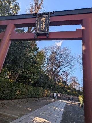 根津神社の参拝記録(まーさんさん)