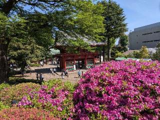 根津神社の参拝記録(まーさんさん)