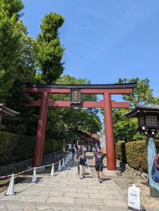 根津神社の参拝記録(まーさんさん)
