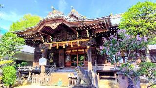 白山神社の参拝記録(オトギリルさん)