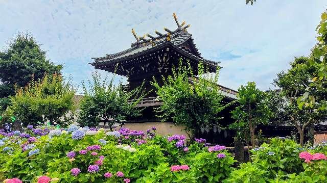 白山神社の参拝記録