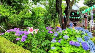 白山神社の参拝記録(オトギリルさん)