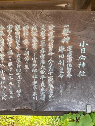 小日向神社の参拝記録(⛩️🐍🐢まめ🐢🐍⛩️さん)