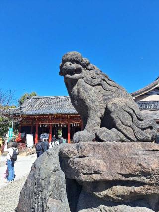 浅草神社の参拝記録(まーさんさん)