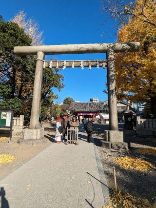 浅草神社の参拝記録(たこやきさん)