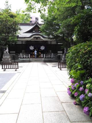 鳥越神社の参拝記録(ページイさん)