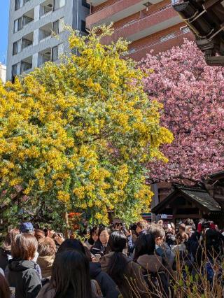 藏前神社の参拝記録(まーさんさん)