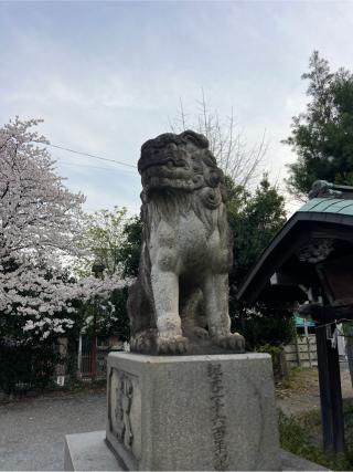 玉姫稲荷神社の参拝記録(⛩️🎠🐢まめ🐢🎠⛩️さん)