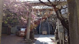 元三島神社の参拝記録(オトギリルさん)