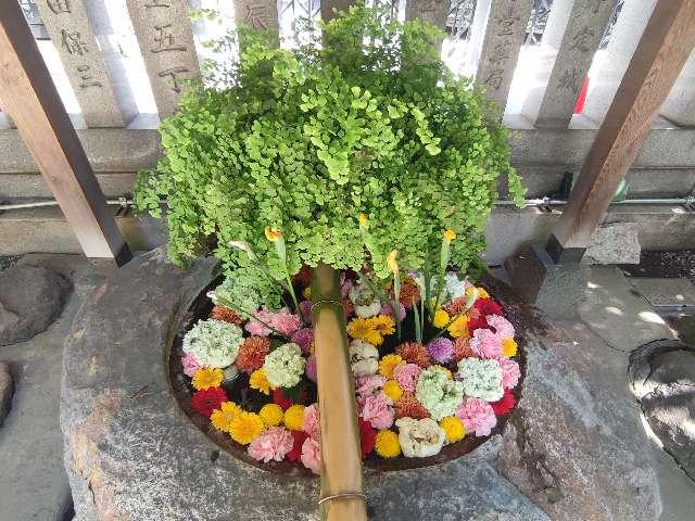 元三島神社の参拝記録