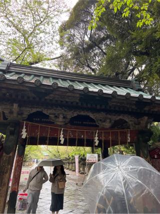 上野東照宮の参拝記録(⛩️🐍🐢まめ🐢🐍⛩️さん)