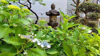 稲荷神社(千束稲荷神社)の参拝記録(オトギリルさん)