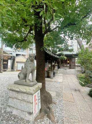 廣尾稲荷神社の参拝記録(ハボタンはケールさん)