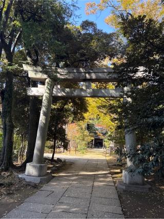 赤坂氷川神社の参拝記録(⛩️🎠🐢まめ🐢🎠⛩️さん)