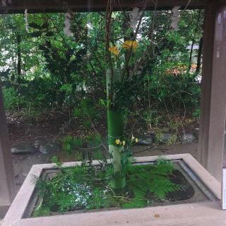 赤坂氷川神社の参拝記録(バッカラさん)