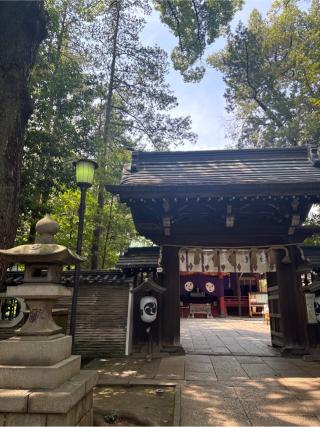 赤坂氷川神社の参拝記録(マ　ノ　さん)