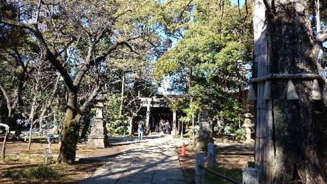 赤坂氷川神社の参拝記録(なまはげさん)