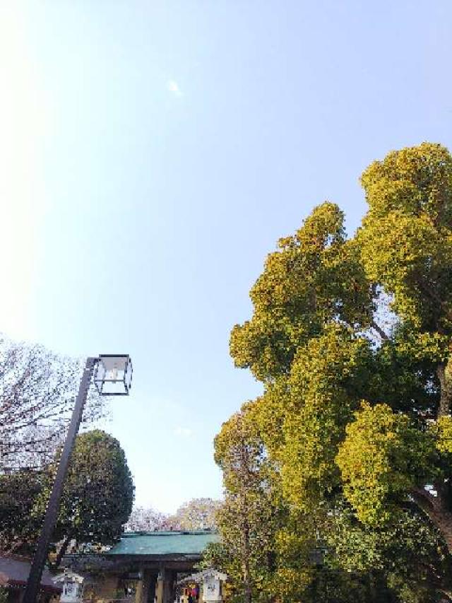 東京都渋谷区神宮前1-5-3 東郷神社の写真40
