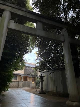 渋谷氷川神社の参拝記録(⛩️🐍🐢まめ🐢🐍⛩️さん)