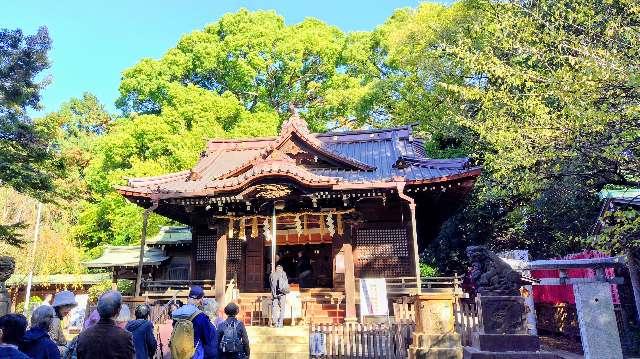 代々木八幡宮の参拝記録