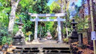 代々木八幡宮の参拝記録(オトギリルさん)