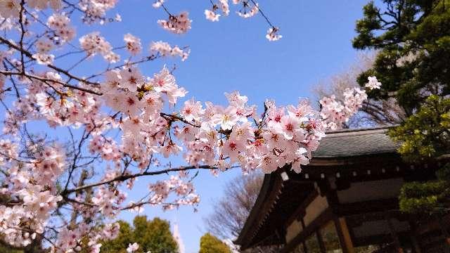 鳩森八幡神社の参拝記録9