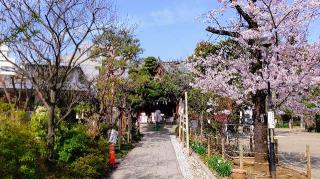 鳩森八幡神社の参拝記録(オトギリルさん)