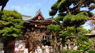 鳩森八幡神社の参拝記録(オトギリルさん)