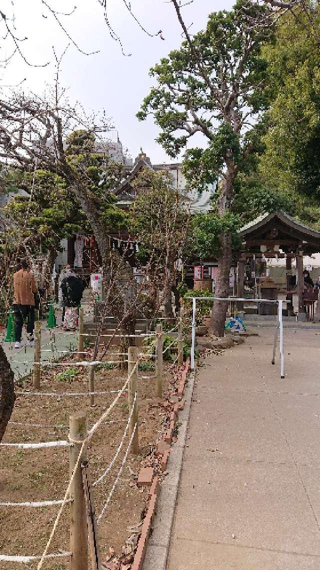 鳩森八幡神社の参拝記録(りゅうじさん)