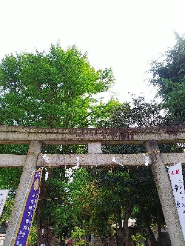 東京都渋谷区千駄ケ谷1-1-24 鳩森八幡神社の写真11