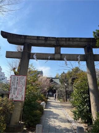鳩森八幡神社の参拝記録(⛩️🐍🐢まめ🐢🐍⛩️さん)