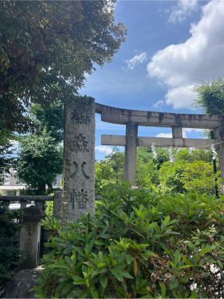 鳩森八幡神社の参拝記録(⛩️🐍🐢まめ🐢🐍⛩️さん)