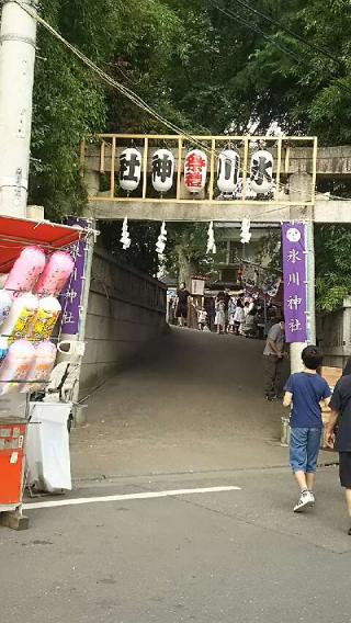 幡ヶ谷氷川神社の参拝記録(kinginさん)