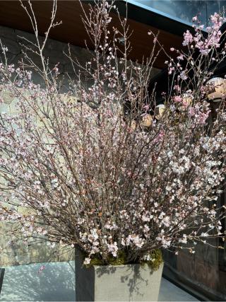 穏田神社の参拝記録(みどりさん)