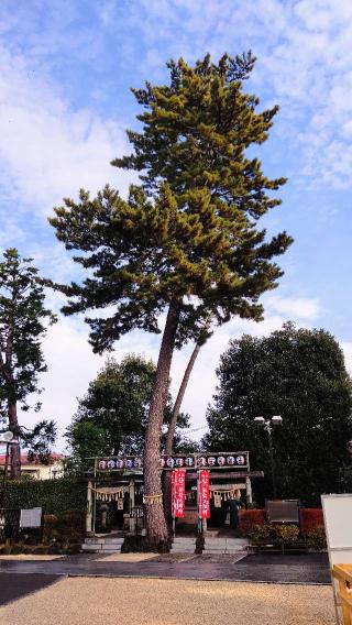 沼袋氷川神社の参拝記録(オトギリルさん)