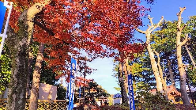 沼袋氷川神社の参拝記録4