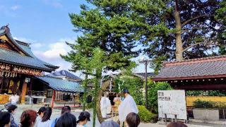 中野沼袋氷川神社の参拝記録(オトギリルさん)