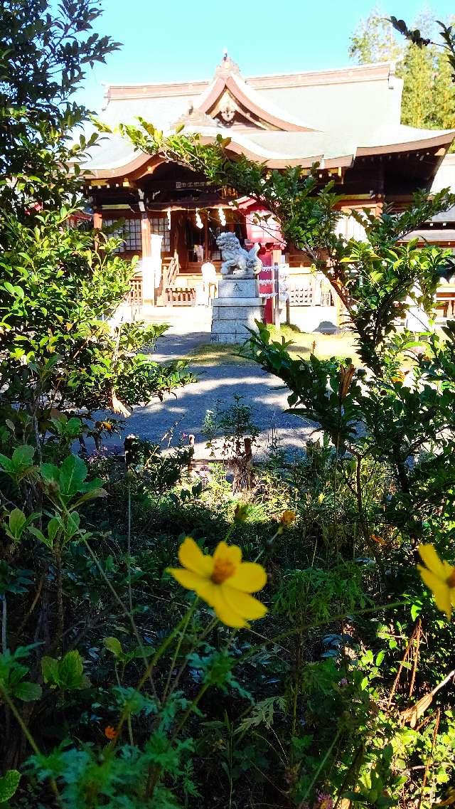 八幡神社（鷺宮八幡神社）の参拝記録8