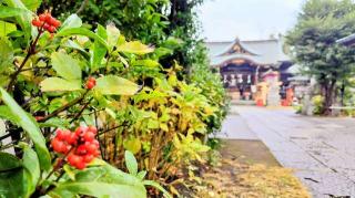 八幡神社（鷺宮八幡神社）の参拝記録(オトギリルさん)