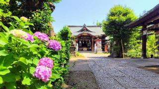 八幡神社（鷺宮八幡神社）の参拝記録(オトギリルさん)