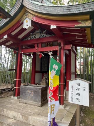 八幡神社（鷺宮八幡神社）の参拝記録(⛩️🐍🐢まめ🐢🐍⛩️さん)