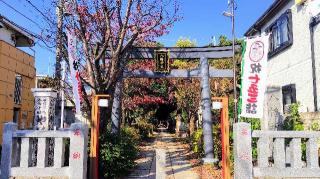 八幡神社（大和町八幡神社）の参拝記録(オトギリルさん)