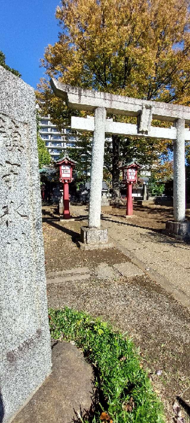 江古田氷川神社の参拝記録(まーぼーさん)