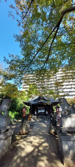 江古田氷川神社の参拝記録(まーぼーさん)