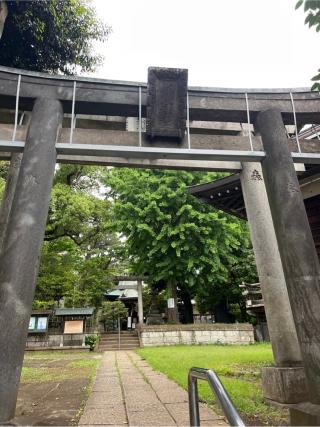 上高田氷川神社の参拝記録(⛩️🎠🐢まめ🐢🎠⛩️さん)