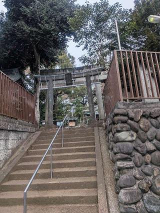 上高田氷川神社の参拝記録(はくすみさん)